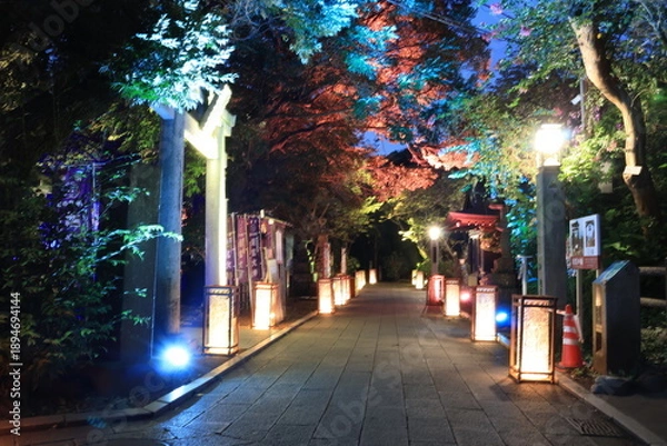 Obraz 江ノ島にある神社や歩道がライトアップされた夜景
