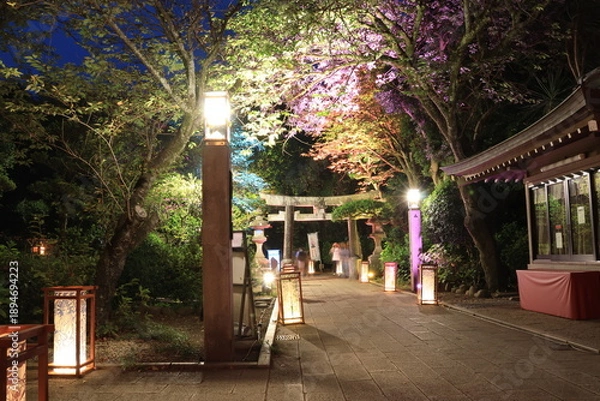 Obraz 江ノ島にある神社や歩道がライトアップされた夜景
