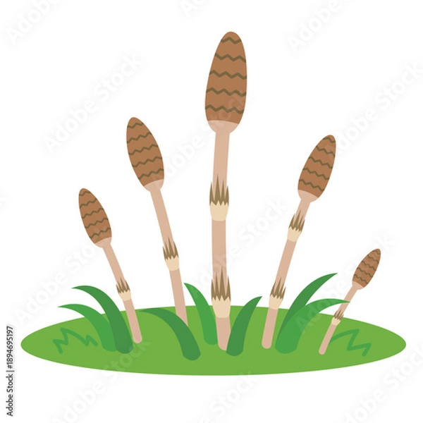 Obraz つくしが生えている　イラスト