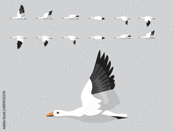 Obraz Snow Goose Flying Animation Sequence Cartoon Vector