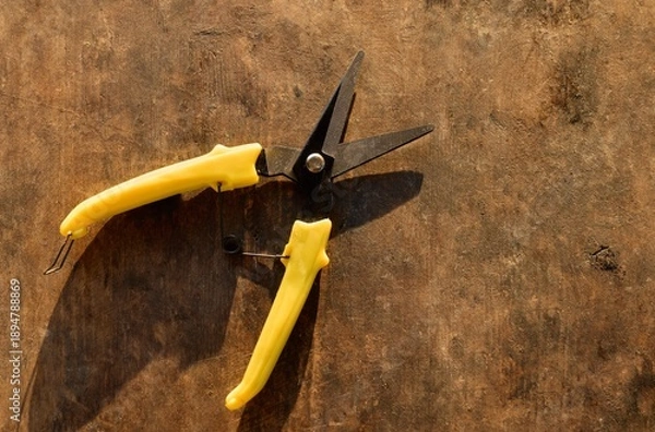 Fototapeta Garden Pruning Scissors on Rustic Wooden Surface