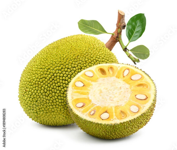 Obraz Jackfruit with half cut isolated on white background.