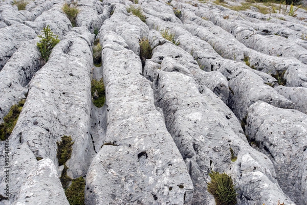 Obraz Clints and Grykes