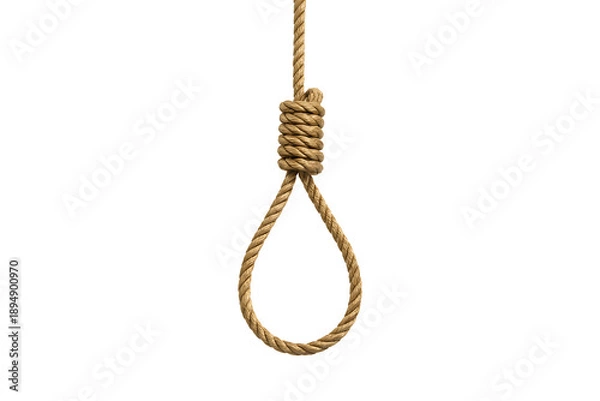 Fototapeta Rope loop with knot isolated on transparent background