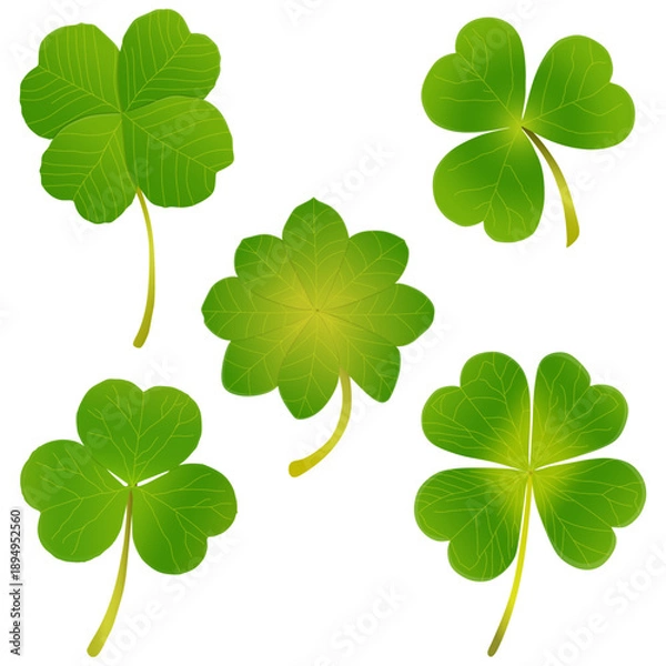 Obraz Cute light green clover leafs vector 