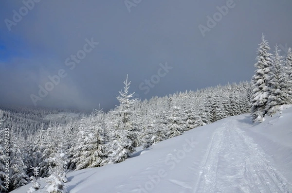 Obraz Cloudy winter landscape