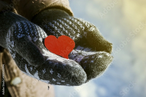 Fototapeta Red heart in the hands of an old grandmother against the background of winter snow close up
