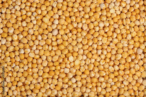 Fototapeta Pea, isolated