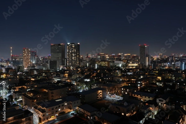 Obraz スカイツリーが浮かび上がる東京の夜 ― ネオンに包まれた高層ビル群の都市景観