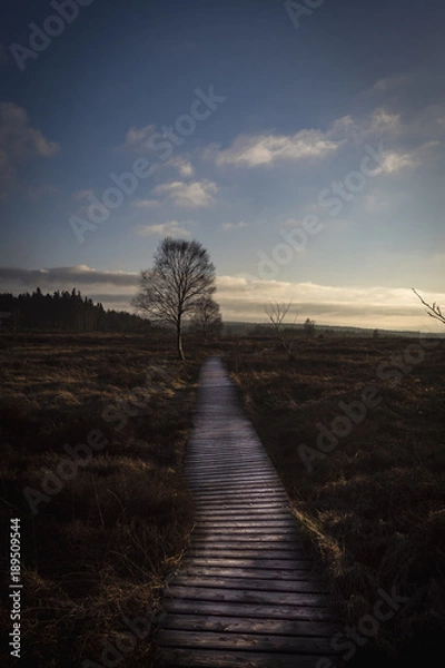 Fototapeta Sonnenuntergang im Nationalpark Hohes Veen