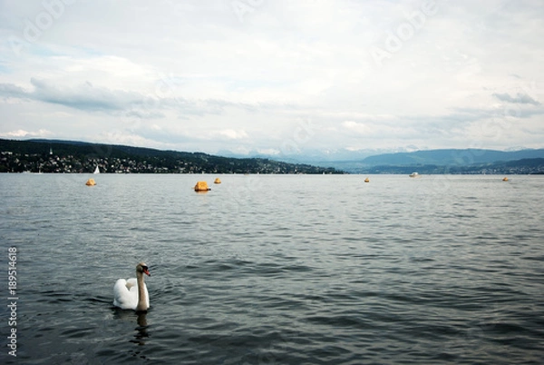 Obraz Zürich_02