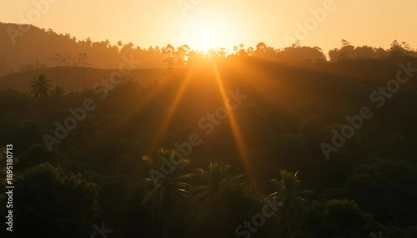 Fototapeta Soft golden rays over dense forest