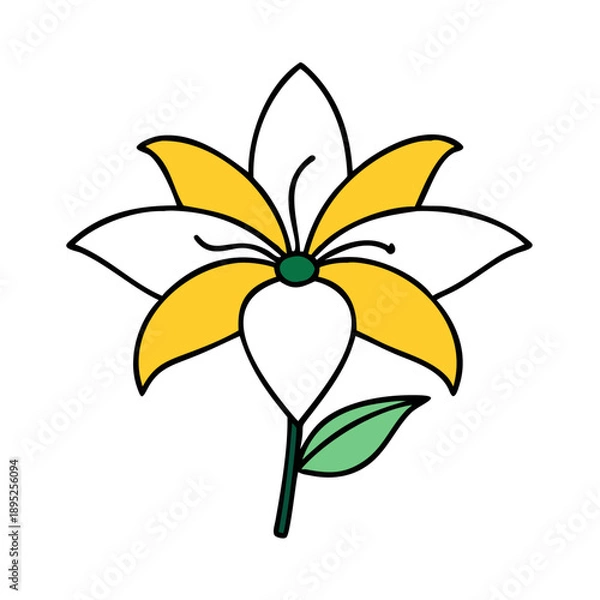 Obraz Flower lily vector
