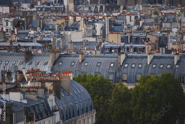 Obraz Typical Paris roof tops across the Paris skyline