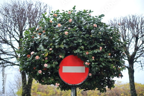 Obraz Nature Says Stop