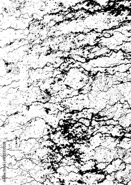 Obraz Large vector cracked surface texture with a transparent background
