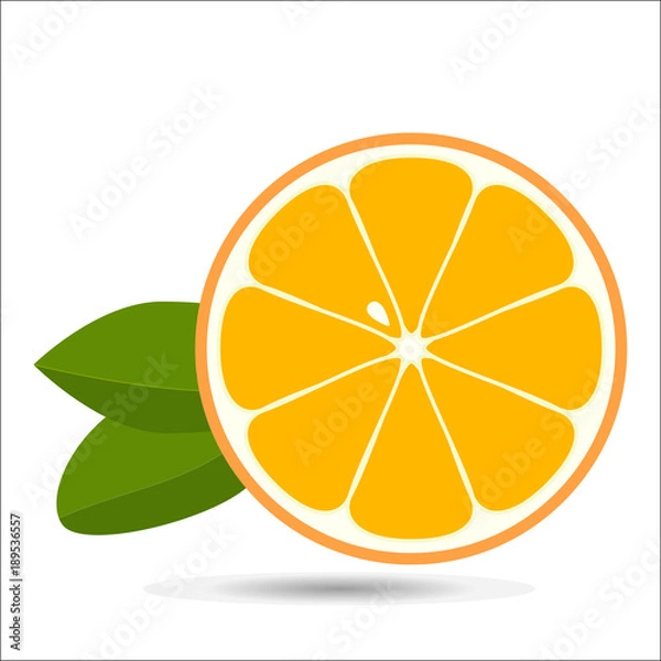 Obraz Orange slice with leaves isolated on white background. Vector illustration for decorative emblem natural product, farmers market.