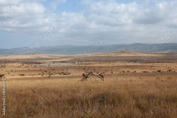 Obraz Landscape in Kenya,