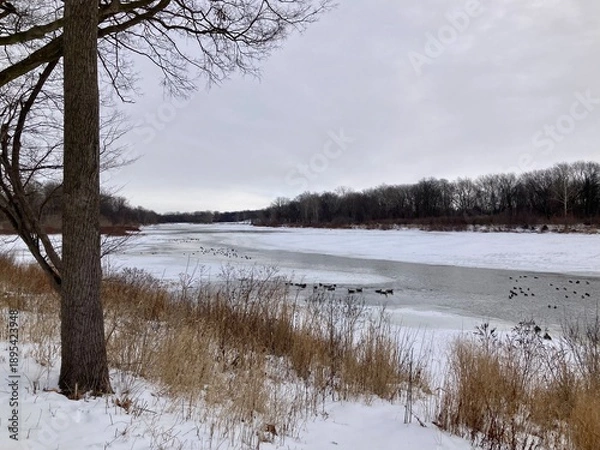 Obraz winter landscape with river