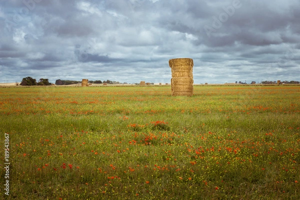 Obraz South Australian Countryside Landscape with dramatic clouds. Hay Stacks in farm fields with red poppy flowers.