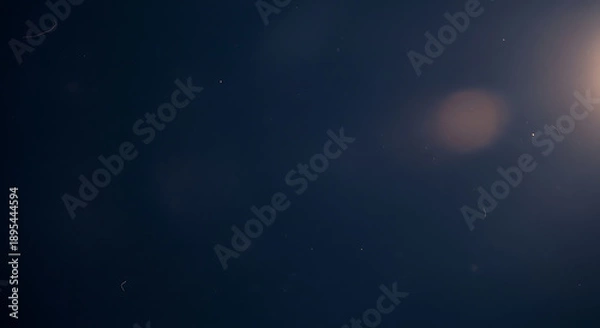 Obraz A dark and blurry image with a bright light source