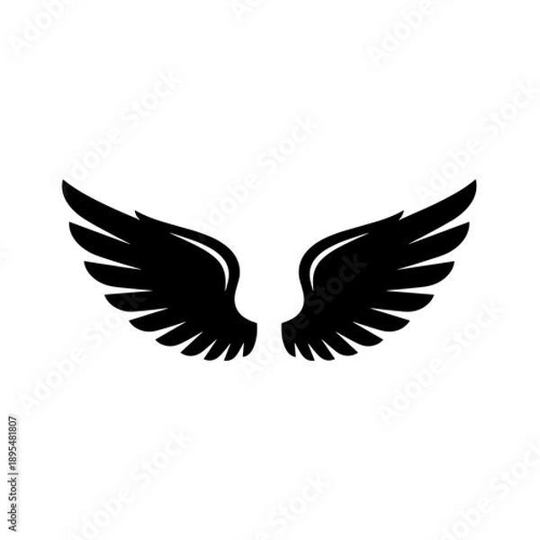Obraz eagle vector illustration
