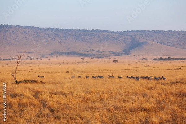 Obraz Landscape in Kenya