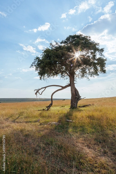 Obraz Landscape in Kenya