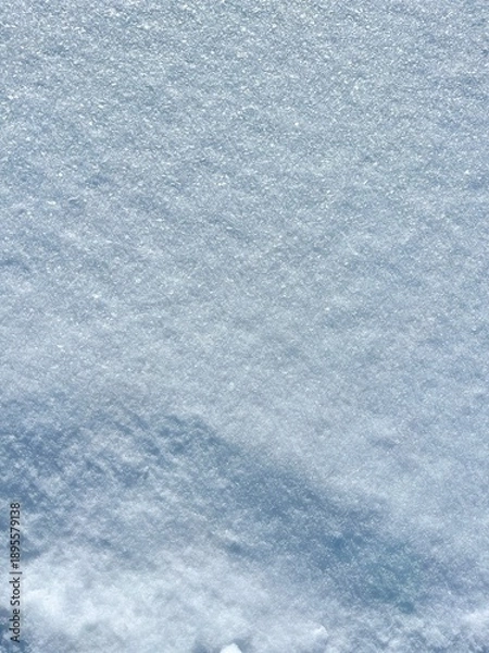 Obraz snow background