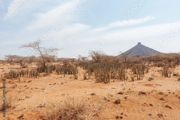 Obraz Landscape in Kenya,