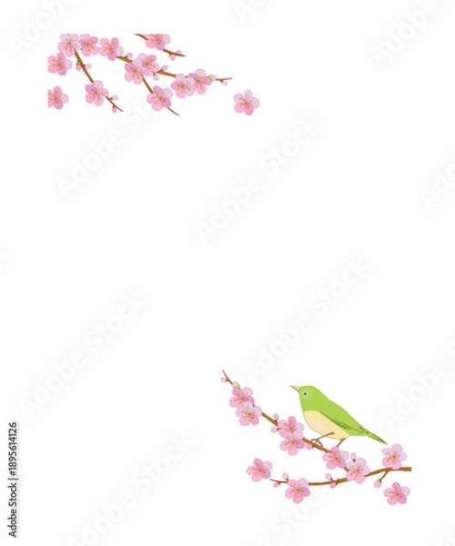 Obraz 春の背景　桜の花と小鳥