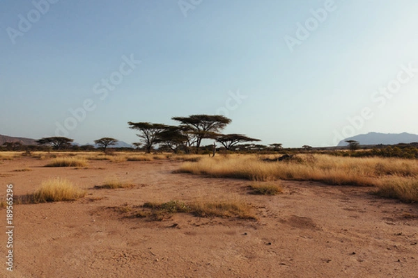 Obraz Landscape in Kenya