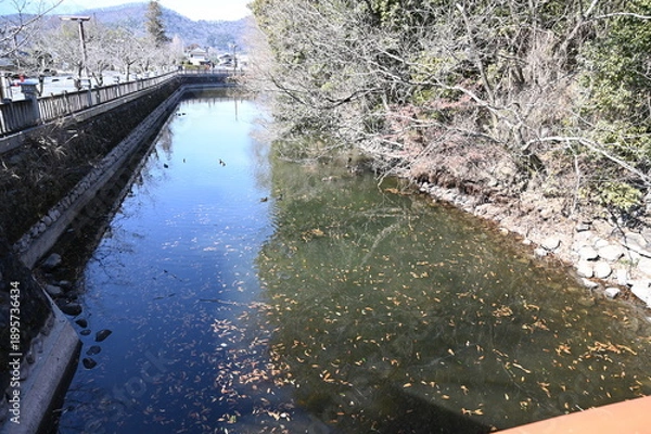 Obraz 甲斐 武田神社