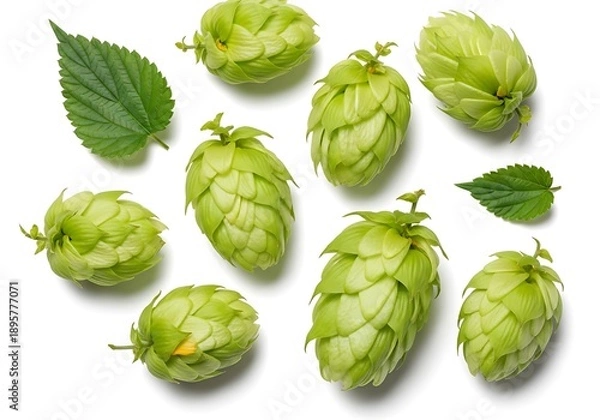 Obraz Verdant Bounty