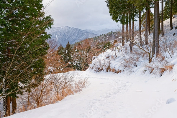 Fototapeta 雪に覆われた登山道