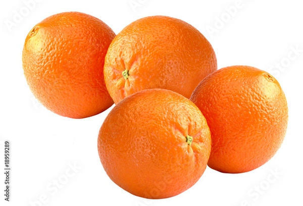 Obraz Orangen