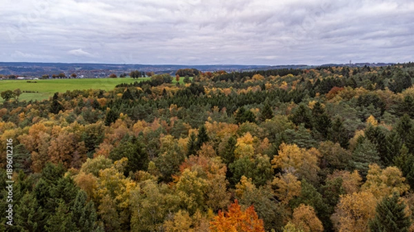 Obraz Paysage malmédien