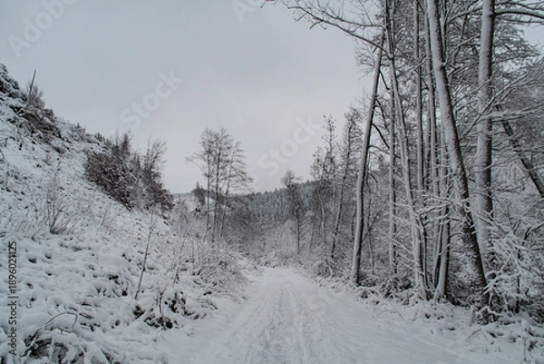 Obraz décor enneigé