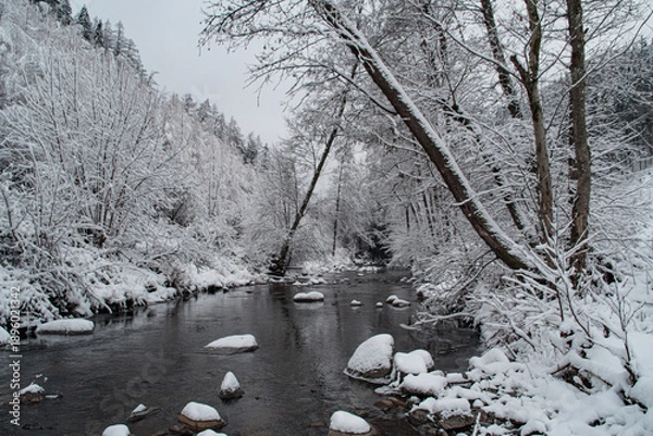 Obraz décor enneigé