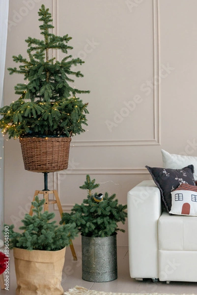 Obraz Christmas decor in a studio with lights