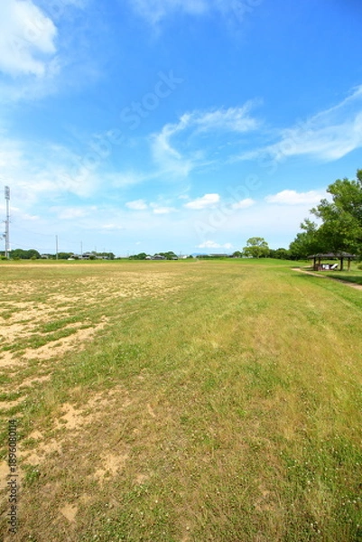 Obraz 青空と公園の芝生