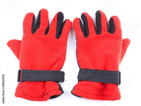 Obraz gloves on a white background