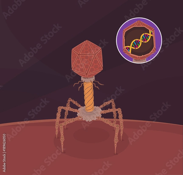 Obraz Bacteriophage Virus