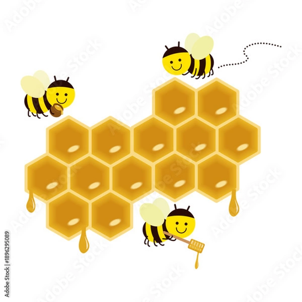 Obraz みつばちとはちの巣