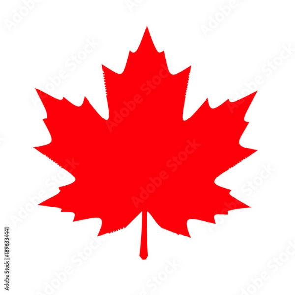 Obraz vector illustration of a canada maple leaf