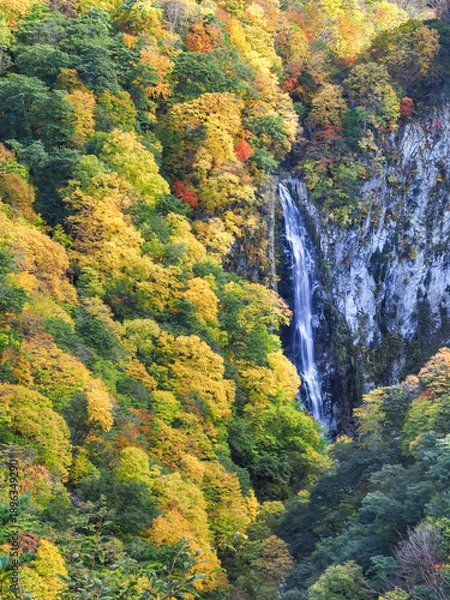 Obraz 紅葉の澗満滝