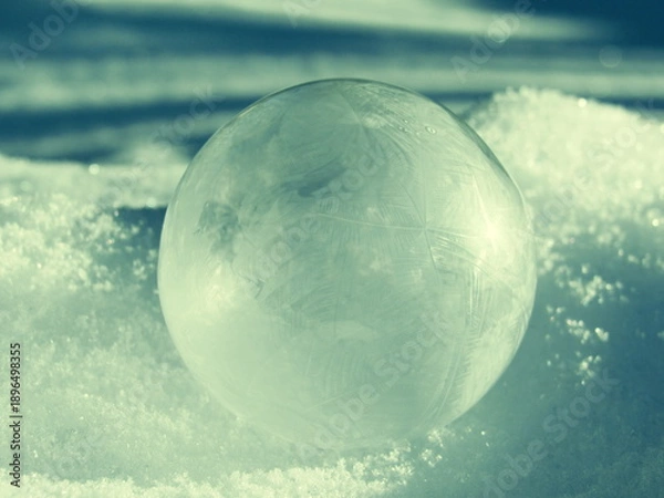 Obraz Frozen bubbles in winter