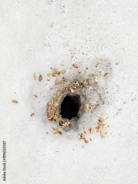 Obraz Mauseloch im Schnee