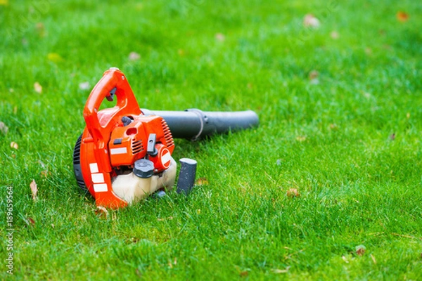 Obraz Leaf blower on the ground