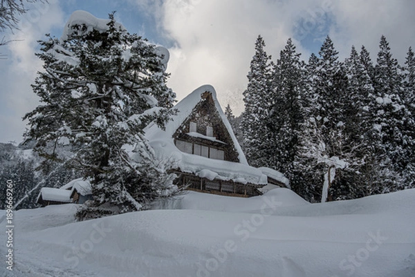 Obraz 越中五箇山相倉合掌造り集落の雪景色
